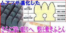 ���A�c�~���ӂƂ񂪐i���B�X�ɐ[�����萮���~���ӂƂ�