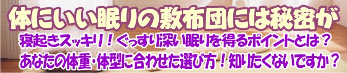 �̂ɂ�������̕~���z�c�b�~���ӂƂ�ɂ͔閧���������E���������~�z�c�̈����v���U
