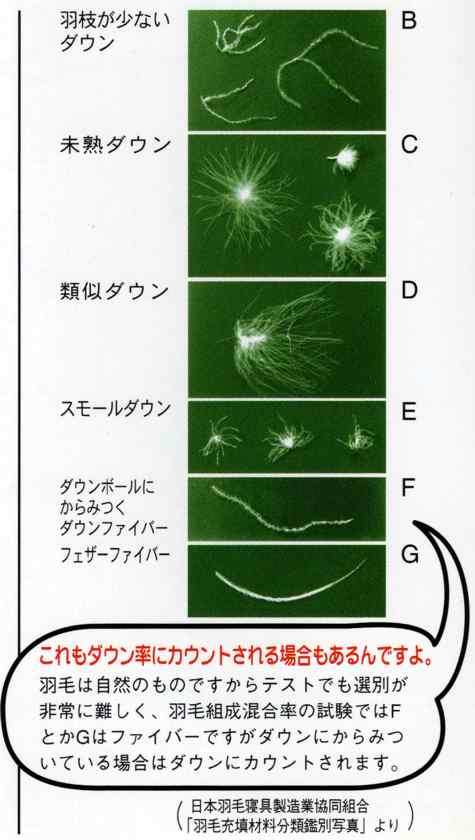 羽毛ふとんダウンのランク