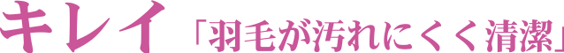 西川Royalstar羽毛布団が他を圧倒する高いクォリティ