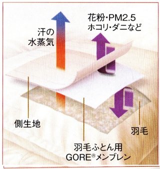 西川ゴア羽毛布団