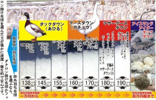 羽毛布団五千円から百万円超の真実【安眠プラザの厳選羽毛ふとん激安一覧】