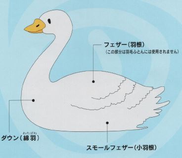 羽毛布団知識の基礎・価格の秘密