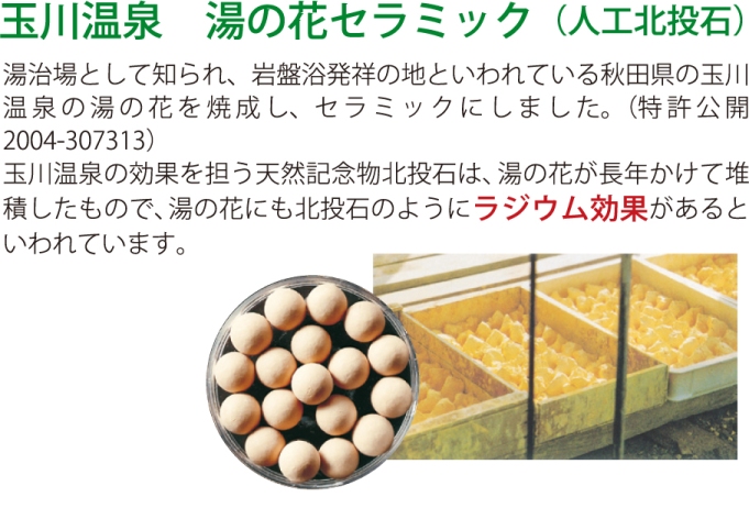 安眠プラザ / 5倍パワートルマリン＆玉川岩盤浴敷ふとん山甚物産
