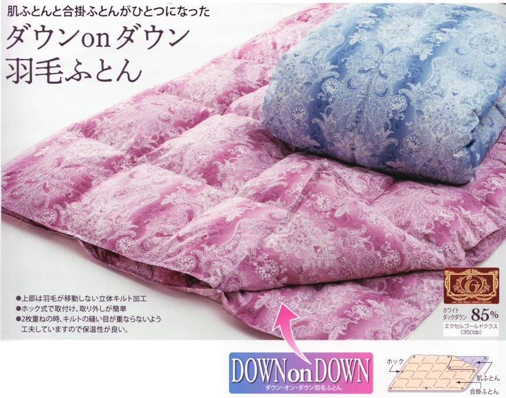 安眠プラザ / 四季を通して二枚三役ツイン羽毛布団山甚DownonDown8899