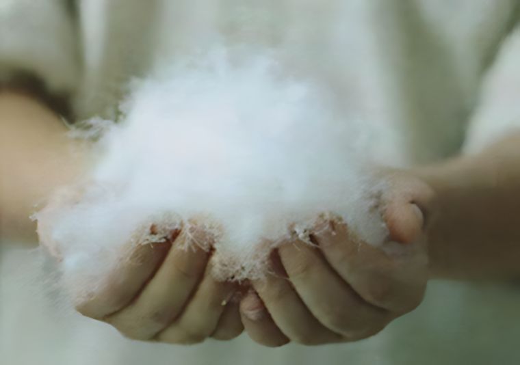 中綿羽毛は上質なホワイトダウン70％0.3kg入り