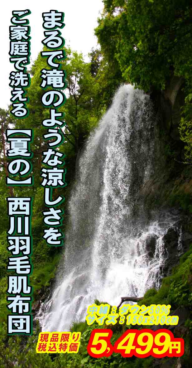 洗える羽毛肌掛布団