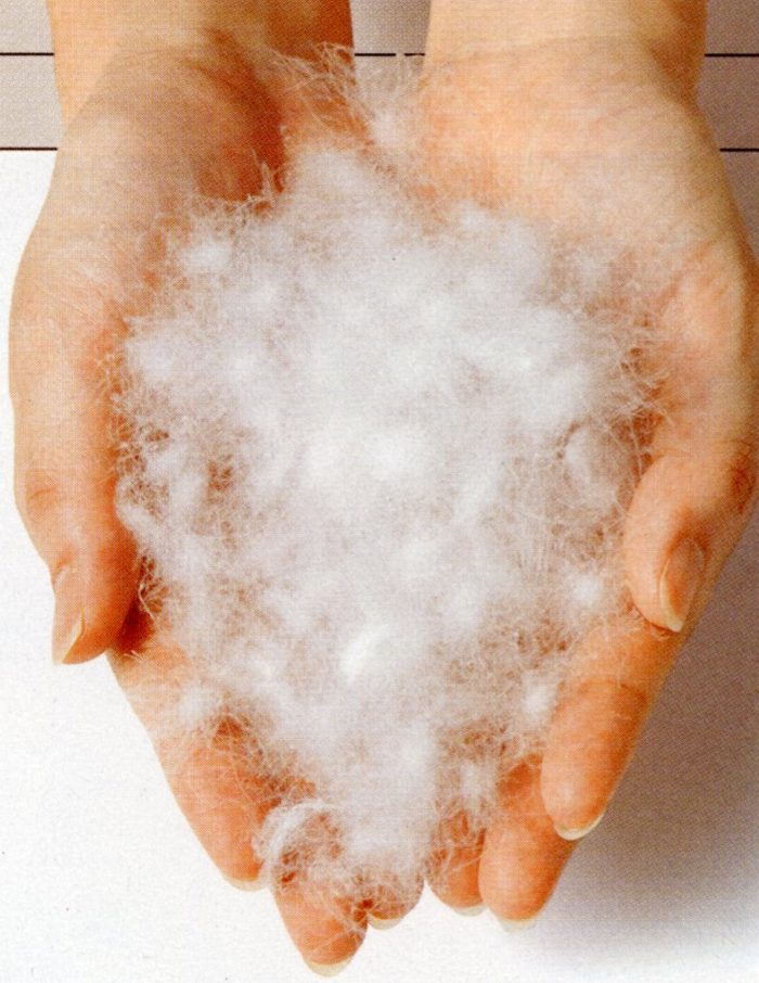 西川羽毛布団・最高級ポーランドグース羽毛布団