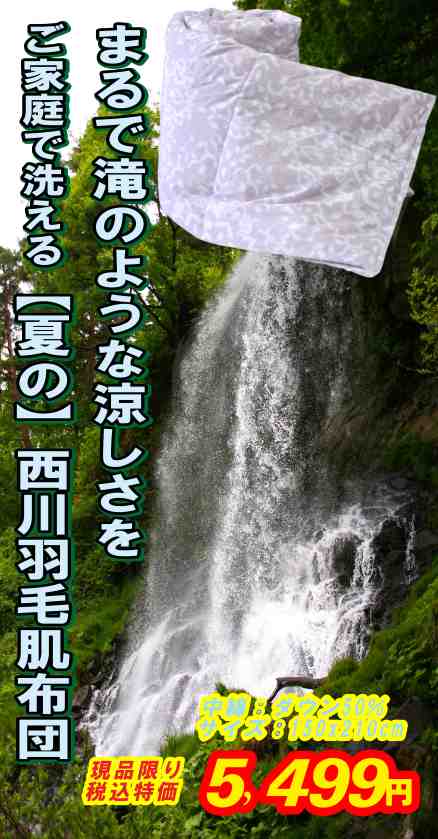 お奨め西川羽毛夏肌布団