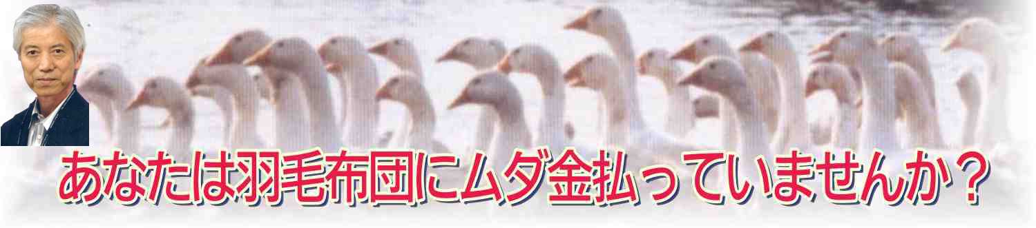 羽毛布団にムダ金払っていませんか？