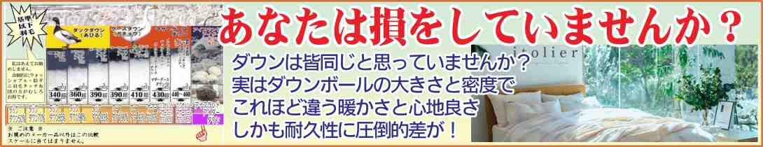 SALE*全品8%off