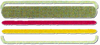 玉川温泉の河川敷岩盤浴